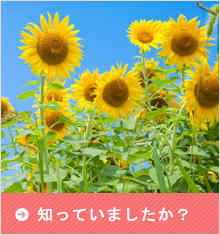 みなさん知ってましたか？